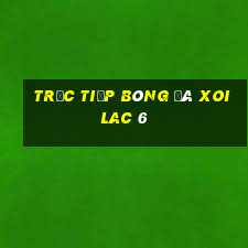 trực tiếp bóng đá xoilac 6