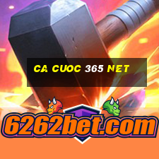 ca cuoc 365 net