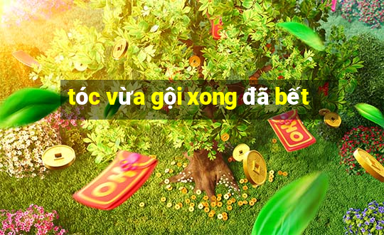 tóc vừa gội xong đã bết