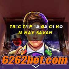 trực tiếp đá gà c1 hôm nay savan