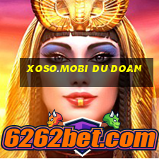 xoso.mobi du doan