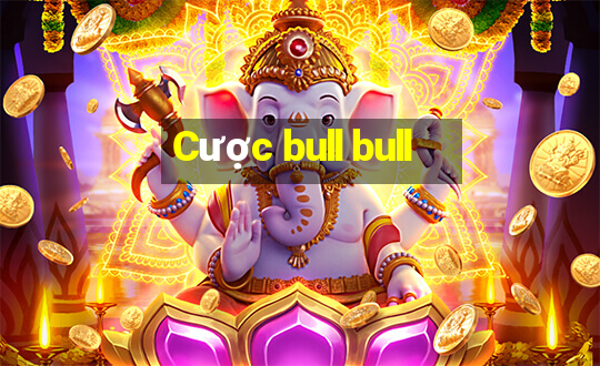 Cược bull bull