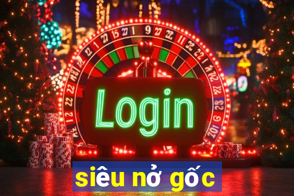 siêu nở gốc