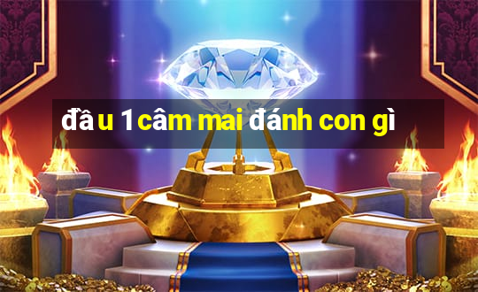 đầu 1 câm mai đánh con gì