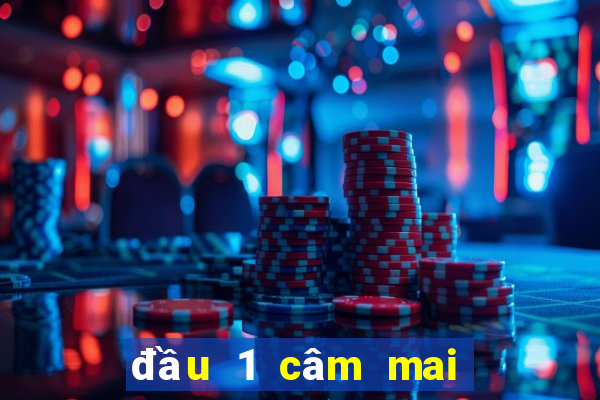 đầu 1 câm mai đánh con gì