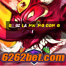 bộ 02 là những con gì