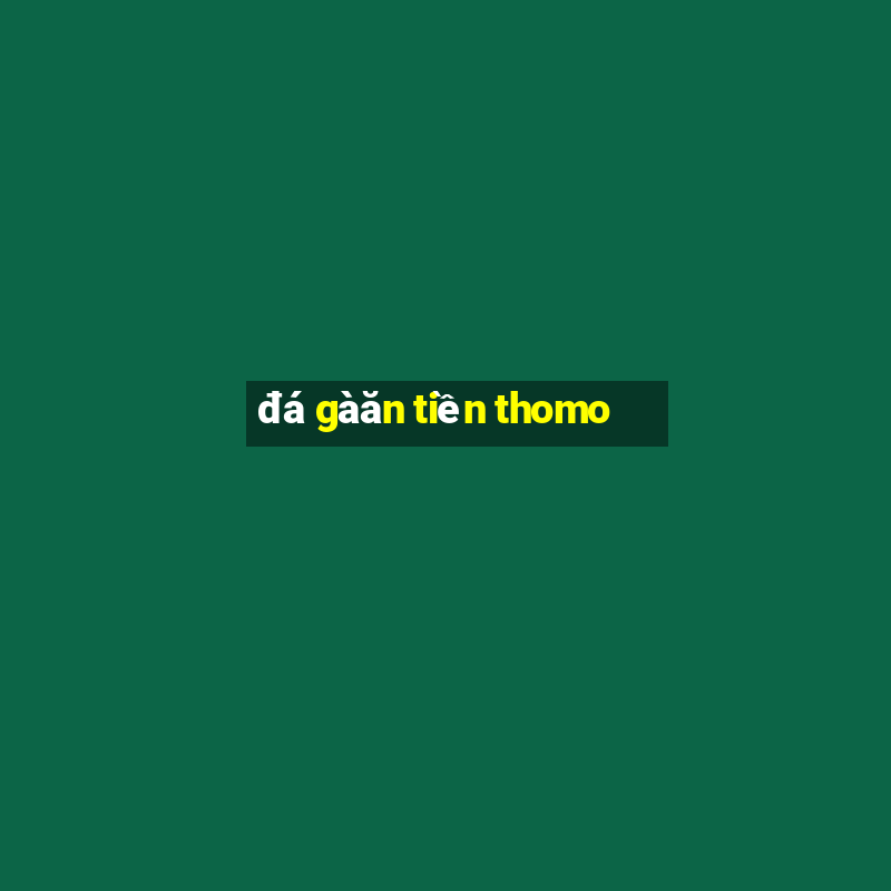 đá gà ăn tiền thomo