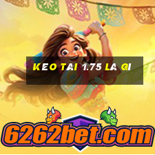 kèo tài 1.75 là gì