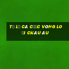 tỷ lệ cá cược vòng loại châu âu