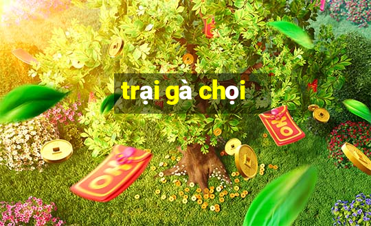 trại gà chọi