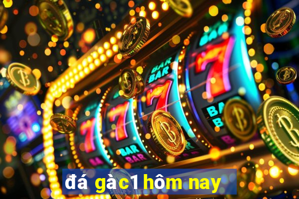 đá gà c1 hôm nay