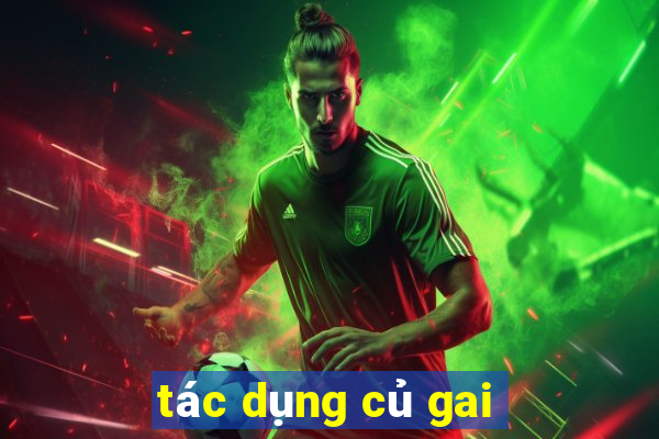 tác dụng củ gai