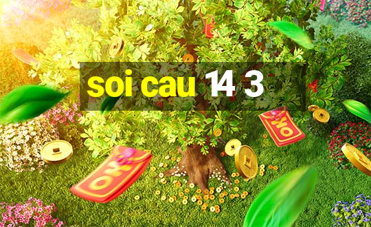 soi cau 14 3