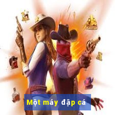 Một máy đập cá