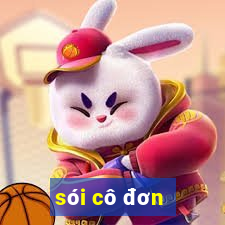 sói cô đơn