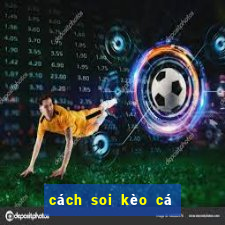 cách soi kèo cá độ bóng đá