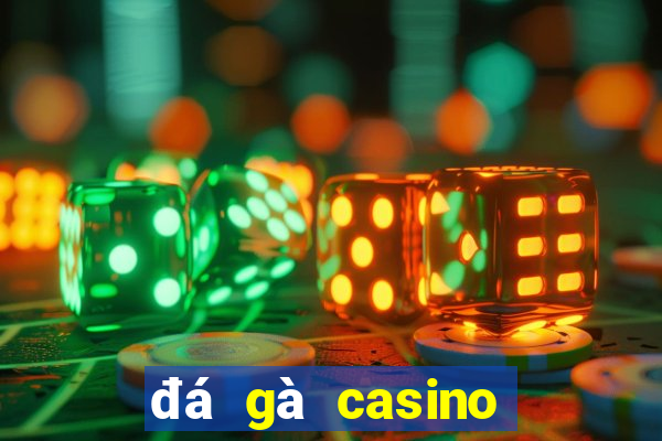 đá gà casino hôm nay