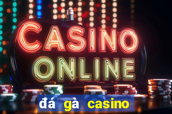 đá gà casino hôm nay