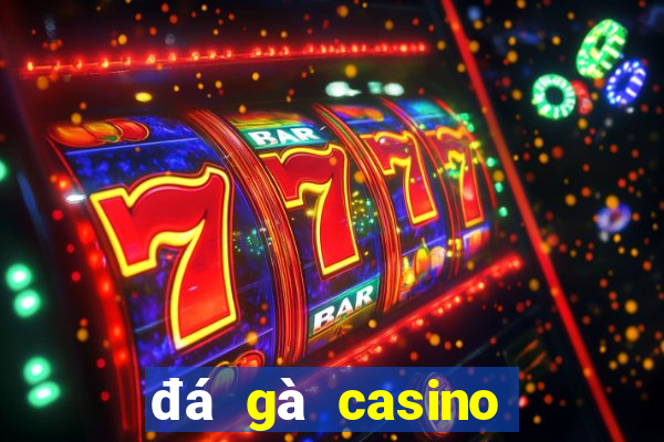 đá gà casino hôm nay