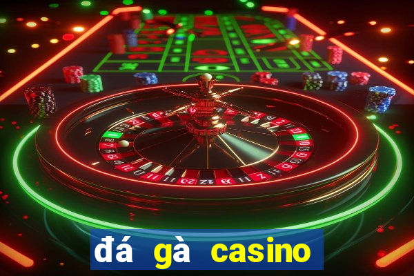 đá gà casino hôm nay