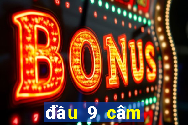 đầu 9 câm đánh lô con gì