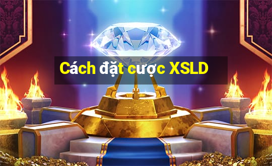 Cách đặt cược XSLD