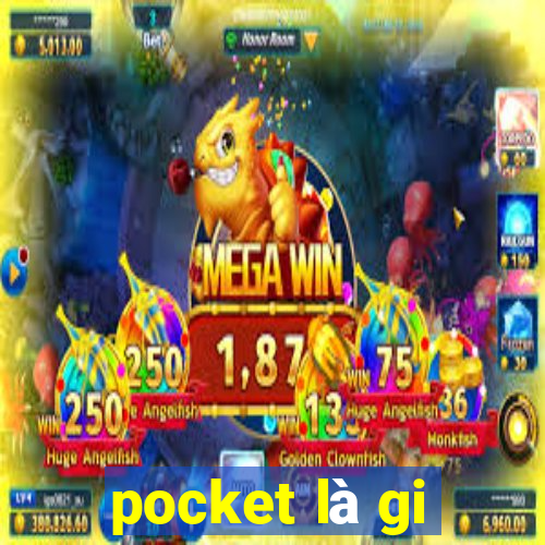 pocket là gi