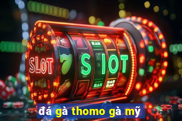 đá gà thomo gà mỹ