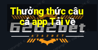 Thưởng thức câu cá app Tải về