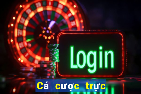 Cá cược trực tuyến V6bet