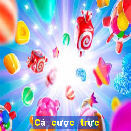 Cá cược trực tuyến V6bet