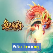 Đấu trường huyền thoạ