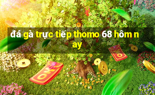 đá gà trực tiếp thomo 68 hôm nay