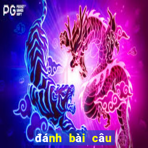 đánh bài câu cá 2 người