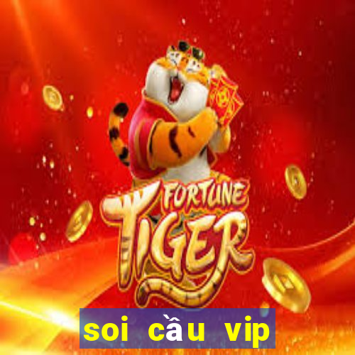 soi cầu vip miền nam hôm nay