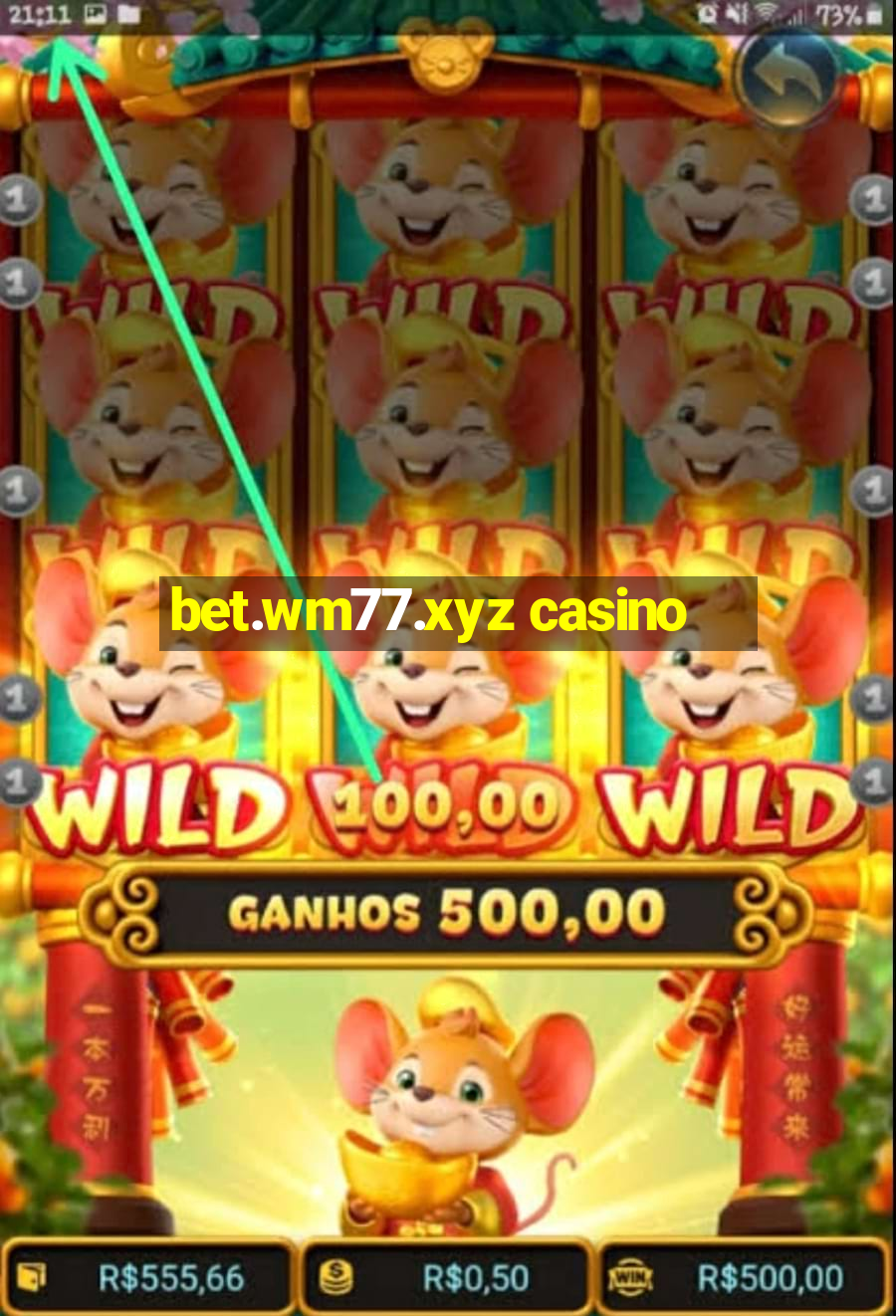 bet.wm77.xyz casino