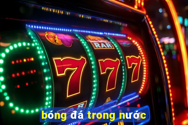 bóng đá trong nước