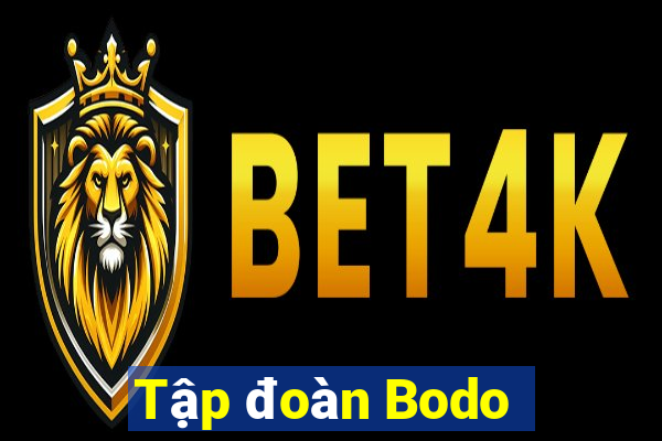 Tập đoàn Bodo