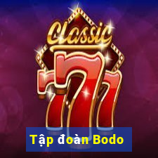 Tập đoàn Bodo