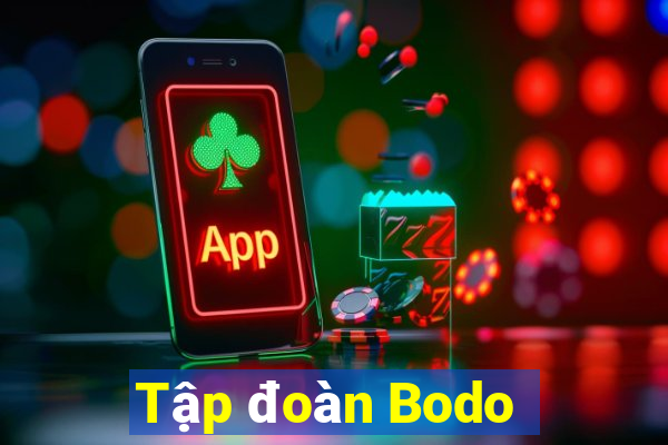 Tập đoàn Bodo