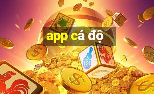 app cá độ