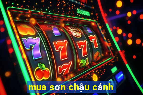 mua sơn chậu cảnh