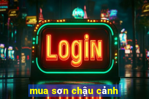 mua sơn chậu cảnh