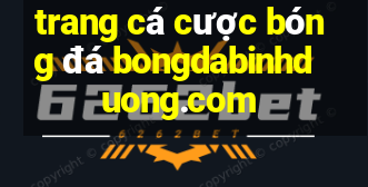 trang cá cược bóng đá bongdabinhduong.com