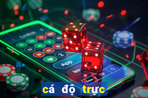 cá độ trực tuyến ở việt nam