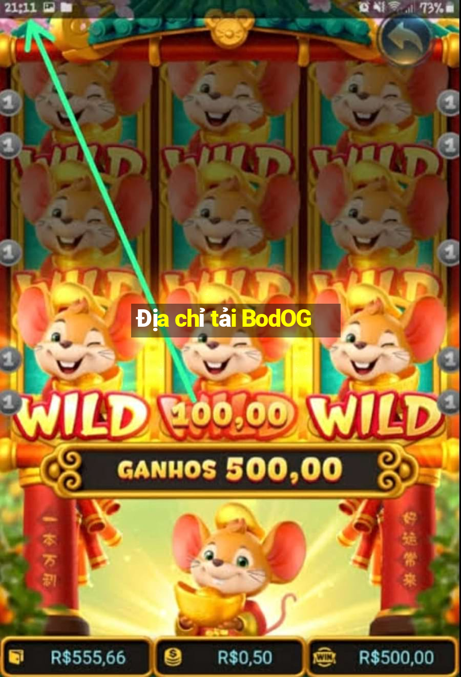 Địa chỉ tải BodOG