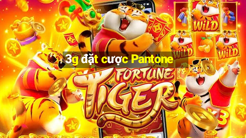 3g đặt cược Pantone