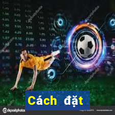 Cách đặt cược XSTB Thứ 4