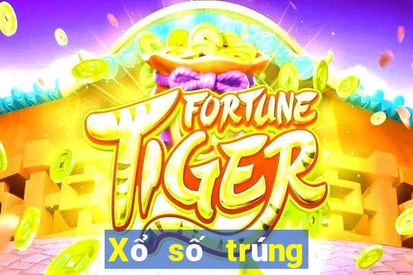 Xổ số trúng thưởng Po 1.0