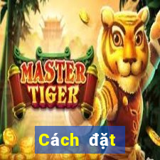 Cách đặt cược XSHG ngày mai